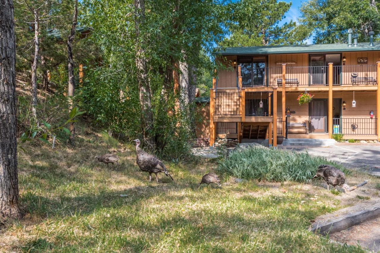 4 Seasons Inn On Fall River Естес Парк Екстериор снимка